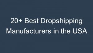 Read more about the article 20+ Best Dropshipping Manufacturers in the USA