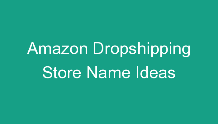 Read more about the article Amazon Dropshipping Store Name Ideas