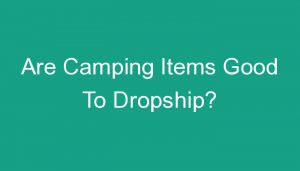 Read more about the article Are Camping Items Good To Dropship?