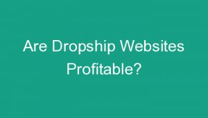 Read more about the article Are Dropship Websites Profitable?