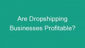 Read more about the article Are Dropshipping Businesses Profitable?