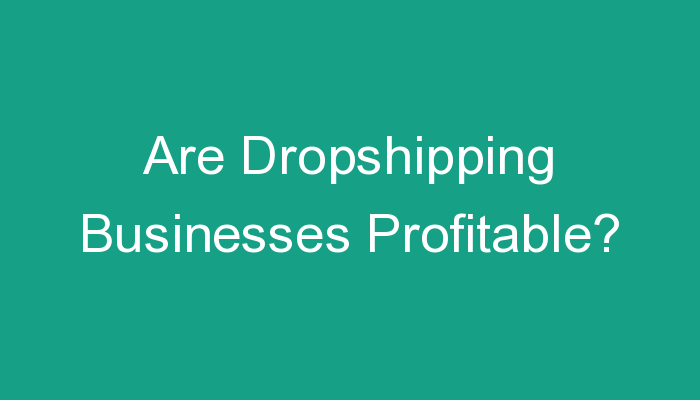 You are currently viewing Are Dropshipping Businesses Profitable?