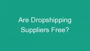 Read more about the article Are Dropshipping Suppliers Free?