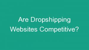 Read more about the article Are Dropshipping Websites Competitive?