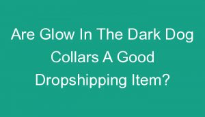 Read more about the article Are Glow In The Dark Dog Collars A Good Dropshipping Item?