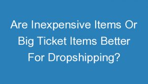 Read more about the article Are Inexpensive Items Or Big Ticket Items Better For Dropshipping?