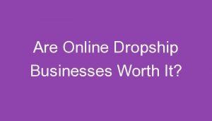 Read more about the article Are Online Dropship Businesses Worth It?