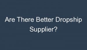 Read more about the article Are There Better Dropship Supplier?