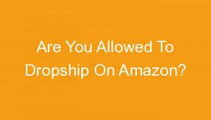 Read more about the article Are You Allowed To Dropship On Amazon?