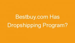 Read more about the article Bestbuy.com Has Dropshipping Program?