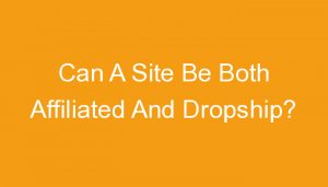 Read more about the article Can A Site Be Both Affiliated And Dropship?