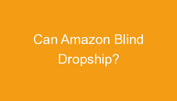 You are currently viewing Can Amazon Blind Dropship?