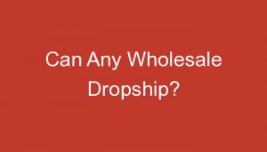 Read more about the article Can Any Wholesale Dropship?