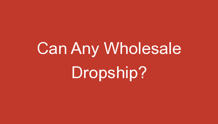 You are currently viewing Can Any Wholesale Dropship?