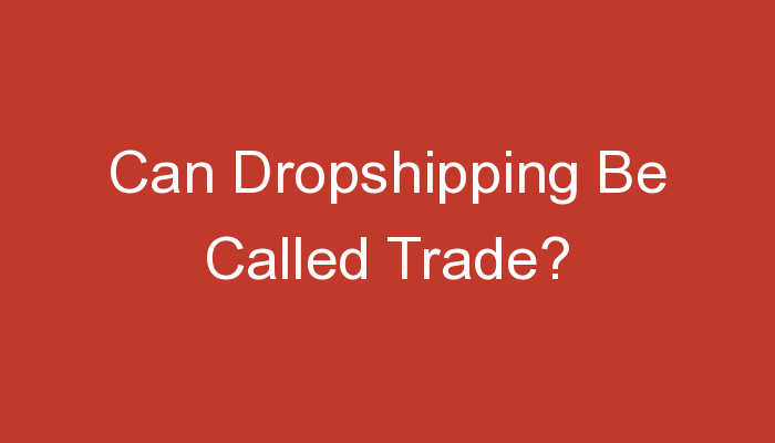 You are currently viewing Can Dropshipping Be Called Trade?
