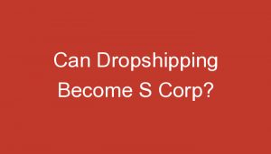 Read more about the article Can Dropshipping Become S Corp?