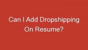 Read more about the article Can I Add Dropshipping On Resume?