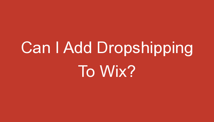 You are currently viewing Can I Add Dropshipping To Wix?