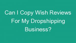 Read more about the article Can I Copy Wish Reviews For My Dropshipping Business?