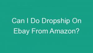 Read more about the article Can I Do Dropship On Ebay From Amazon?