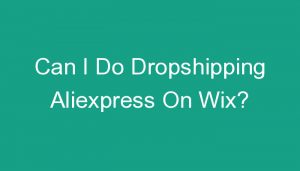 Read more about the article Can I Do Dropshipping Aliexpress On Wix?