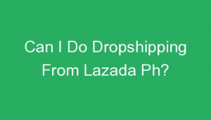 Read more about the article Can I Do Dropshipping From Lazada Ph?
