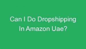 Read more about the article Can I Do Dropshipping In Amazon Uae?
