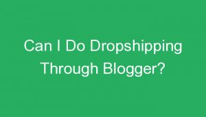 Read more about the article Can I Do Dropshipping Through Blogger?