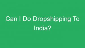 Read more about the article Can I Do Dropshipping To India?