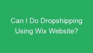 Read more about the article Can I Do Dropshipping Using Wix Website?