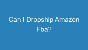 Read more about the article Can I Dropship Amazon Fba?