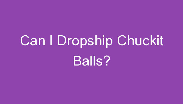 You are currently viewing Can I Dropship Chuckit Balls?