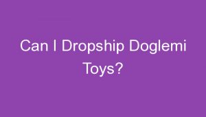 Read more about the article Can I Dropship Doglemi Toys?