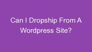 Read more about the article Can I Dropship From A WordPress Site?