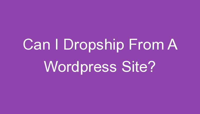 You are currently viewing Can I Dropship From A WordPress Site?