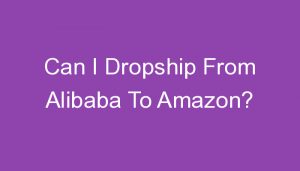 Read more about the article Can I Dropship From Alibaba To Amazon?