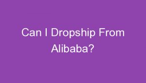 Read more about the article Can I Dropship From Alibaba?