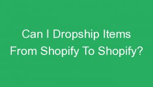 Read more about the article Can I Dropship Items From Shopify To Shopify?