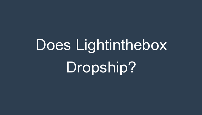 You are currently viewing Does Lightinthebox Dropship?