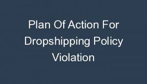 Read more about the article Plan Of Action For Dropshipping Policy Violation