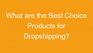 Read more about the article What are the Best Choice Products for Dropshipping?