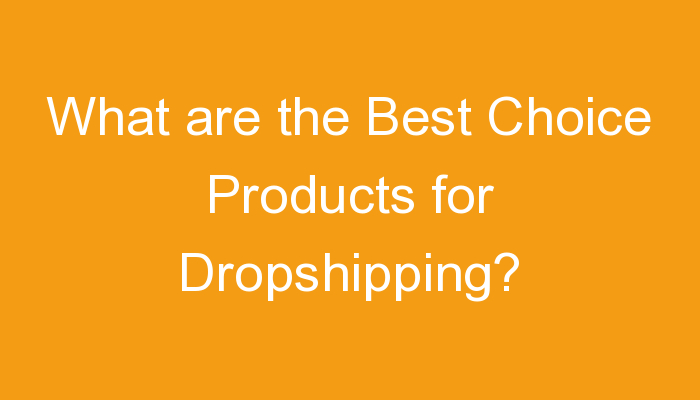 You are currently viewing What are the Best Choice Products for Dropshipping?