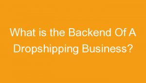 Read more about the article What is the Backend Of A Dropshipping Business?