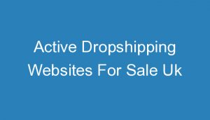 Read more about the article Active Dropshipping Websites For Sale Uk