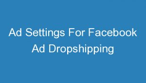 Read more about the article Ad Settings For Facebook Ad Dropshipping