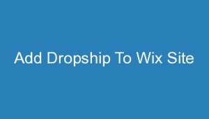 Read more about the article Add Dropship To Wix Site