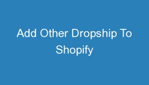 Read more about the article Add Other Dropship To Shopify