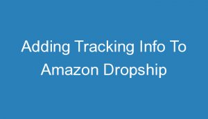 Read more about the article Adding Tracking Info To Amazon Dropship