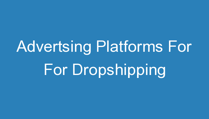 You are currently viewing Advertsing Platforms For For Dropshipping