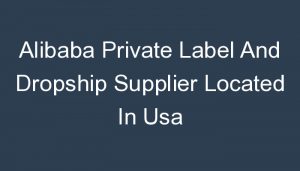 Read more about the article Alibaba Private Label And Dropship Supplier Located In Usa